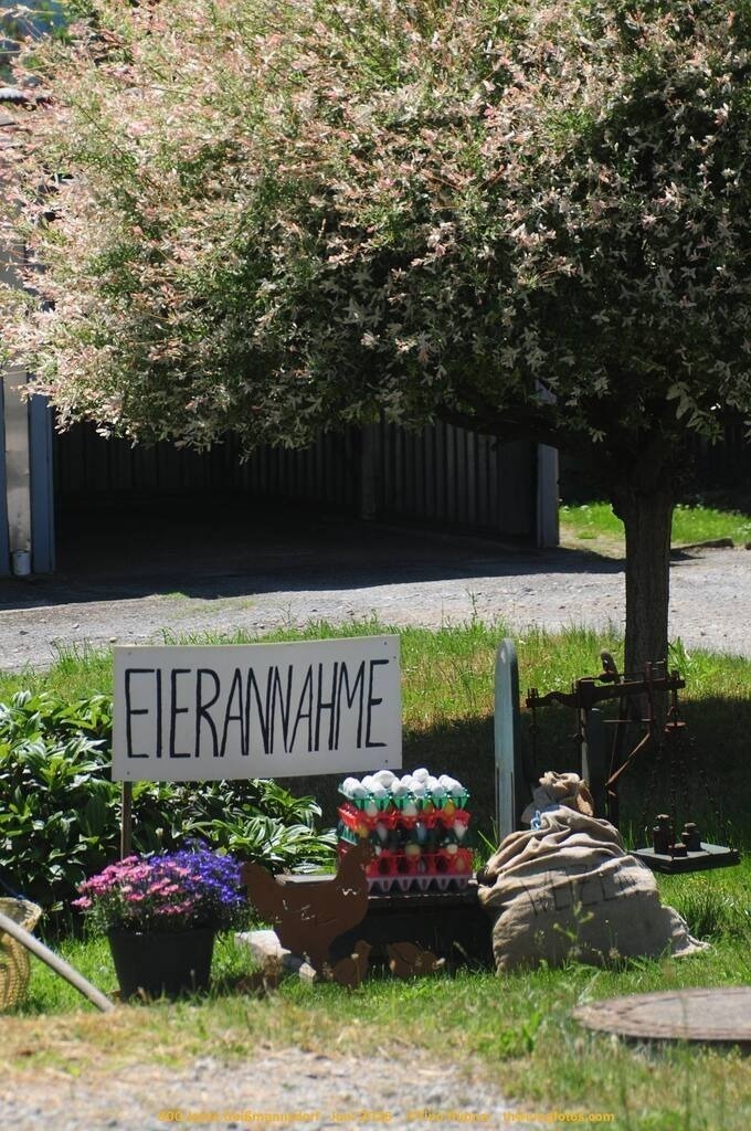 Geißmannsdorf-2026-Ortsbilder-459 | Geißmannsdorf bei Bischofswerda im Sommer 2026. Ein fotografischer Streifzug durch das Dorf Geißmannsdorf, mit Gebäuden, Straßen, Strohpuppen und geschmückten Vorgärten und Grundstücken anlässlich der 800-Jahr-Feier von Geißmannsdorf im Juni 2026 - Realisiert mit Pictrs.com