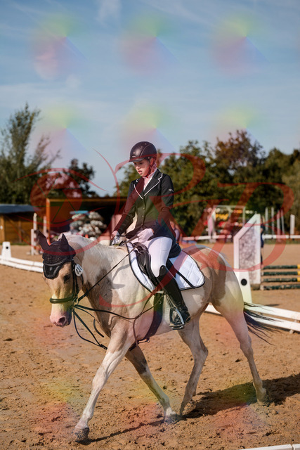 2026_10_03_Siefer-Hof_114758_Z63_27615017 | Professionelle Reitsport-, Turnier- und Eventfotografie von Robert Broda. Galerien mit ausgewählten und bearbeiteten Bildern direkt online ansehen und bestellen.