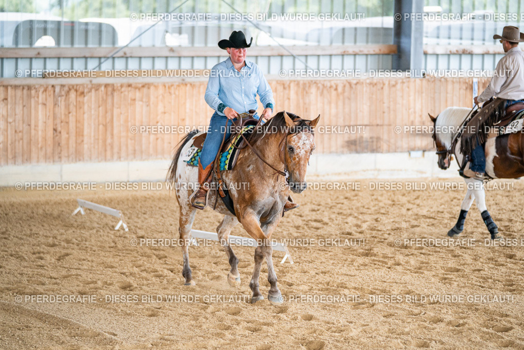 DSC02106 | Pferdegrafie