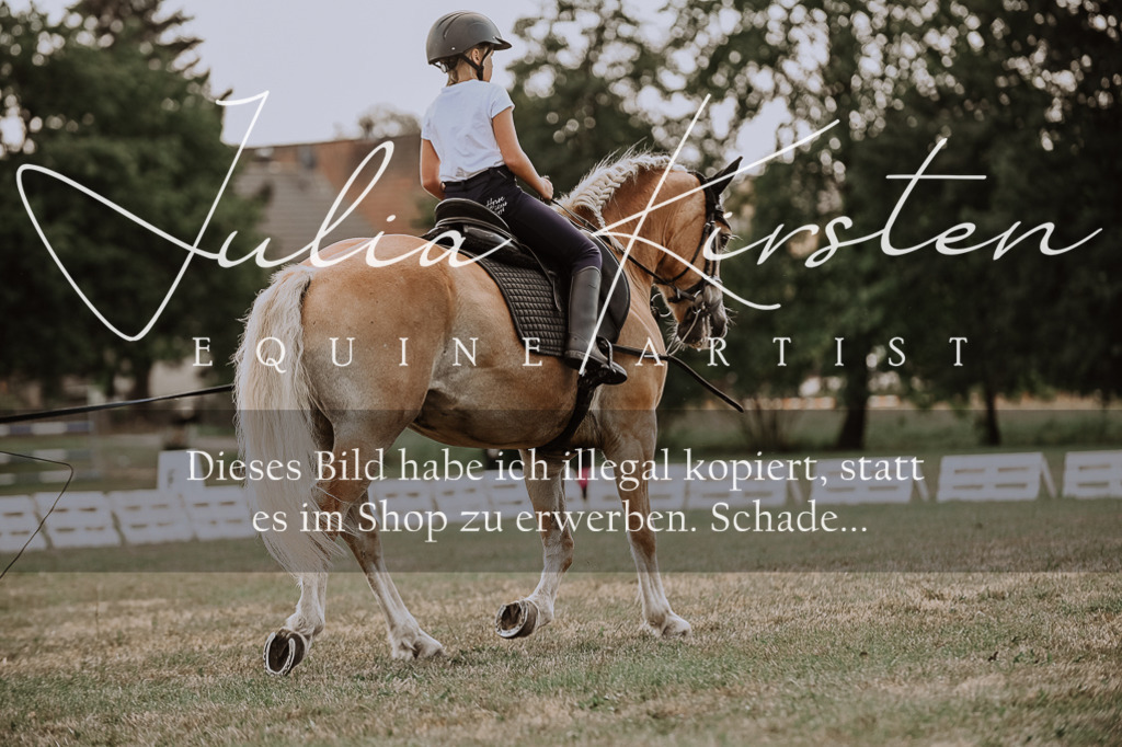 DSC_7675 | Pferde- und Turnierfotografie in Westsachsen. Pferdeportraits, Auftragszeichnungen und intuitive Kunst.