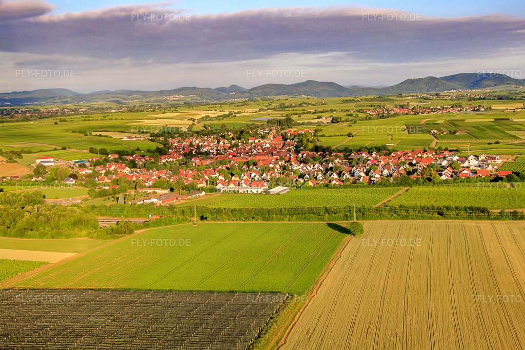 Luftbild: Dorfansicht am Morgen aus Osten in Insheim im Bundesland Rheinland-Pfalz in Deutschland. Foto: IMG_67869.jpg vom 14.06.2014 durch Werner Riehm/FLY-FOTO.de