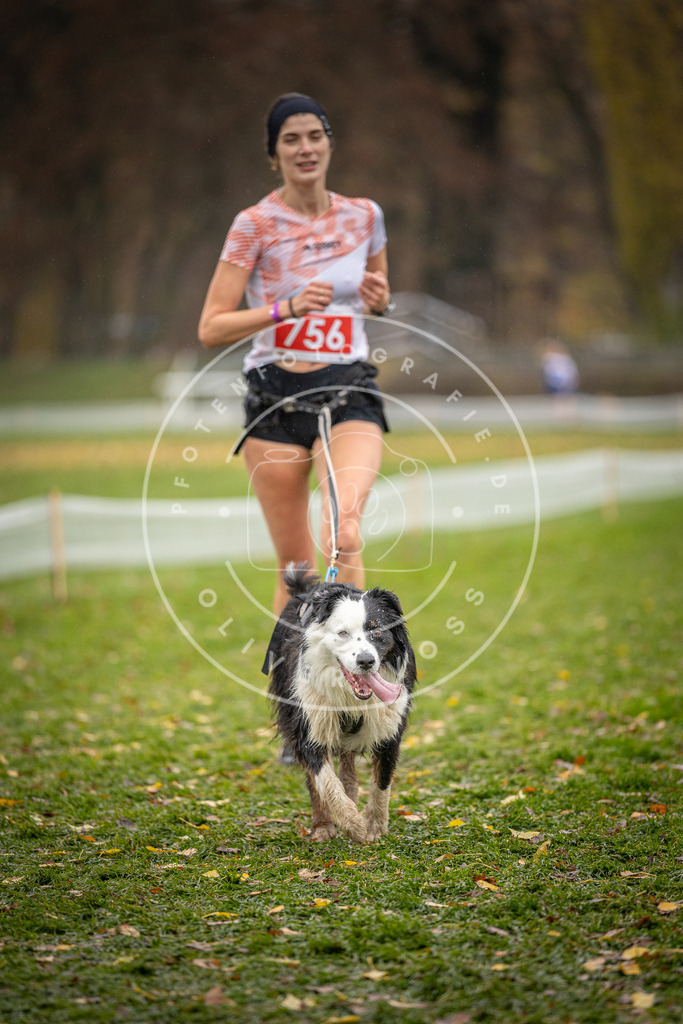 CaniXpix_DV3A9378 | Hundefotografie, Tierfotograf, Pfotenfotografie, Fotoshooting Hund, Hunde Portrait, Hundesport, Hundeportraits, Heideshooting, Hunde, Sportfotograf, Hundefotograf, Turnierhundsport, THS,  - Realisiert mit Pictrs.com