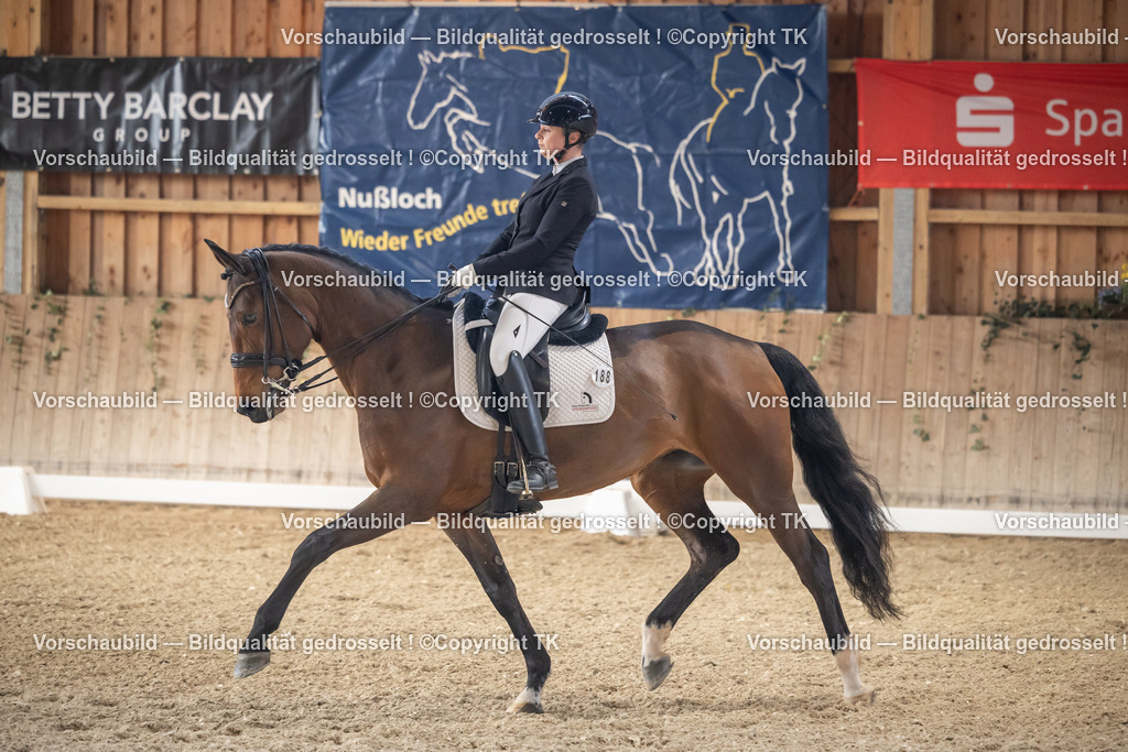 _D5A5934 | Emotionale Pferde- & People-Fotografie rund um Heidelberg, Leimen & Umgebung. Natürliche Fotos von Pferd, Mensch & Familie. Jetzt Termin sichern!