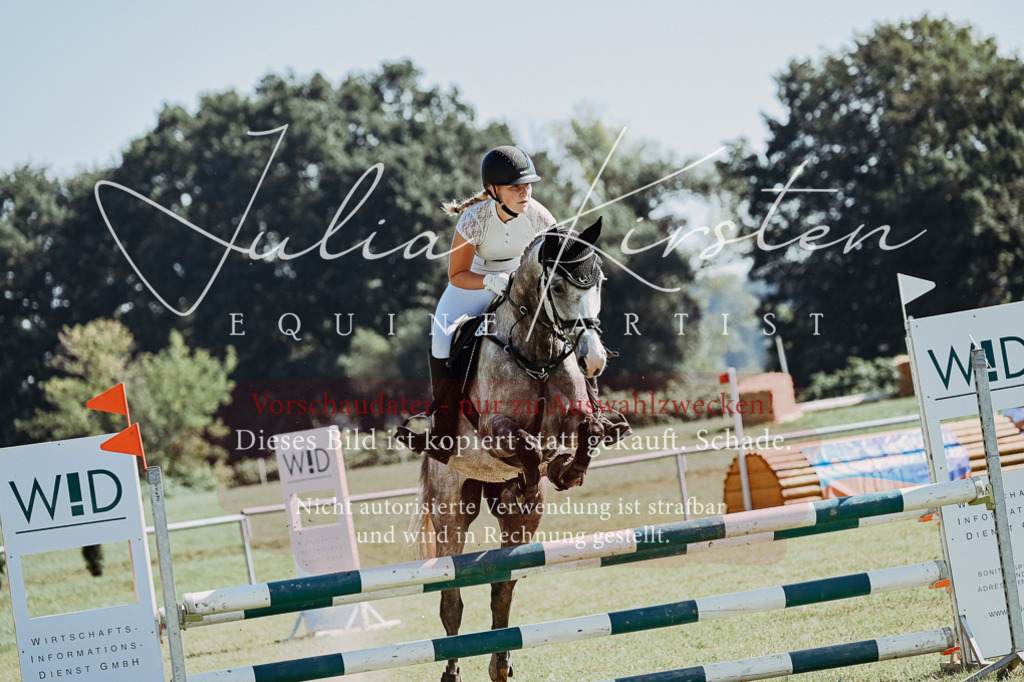 DSC_5504 | Pferde- und Turnierfotografie in Westsachsen. Pferdeportraits, Auftragszeichnungen und intuitive Kunst.