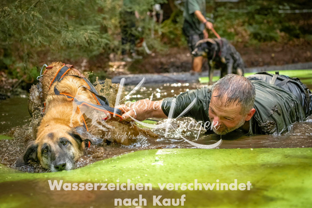 1409_ZZ91208-Bearbeitet | kk-dogfotos