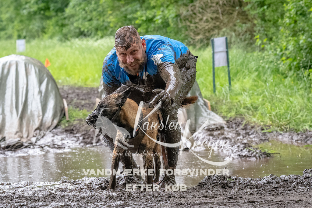 1642_ZZ90068-Bearbeitet | kk-dogfotos