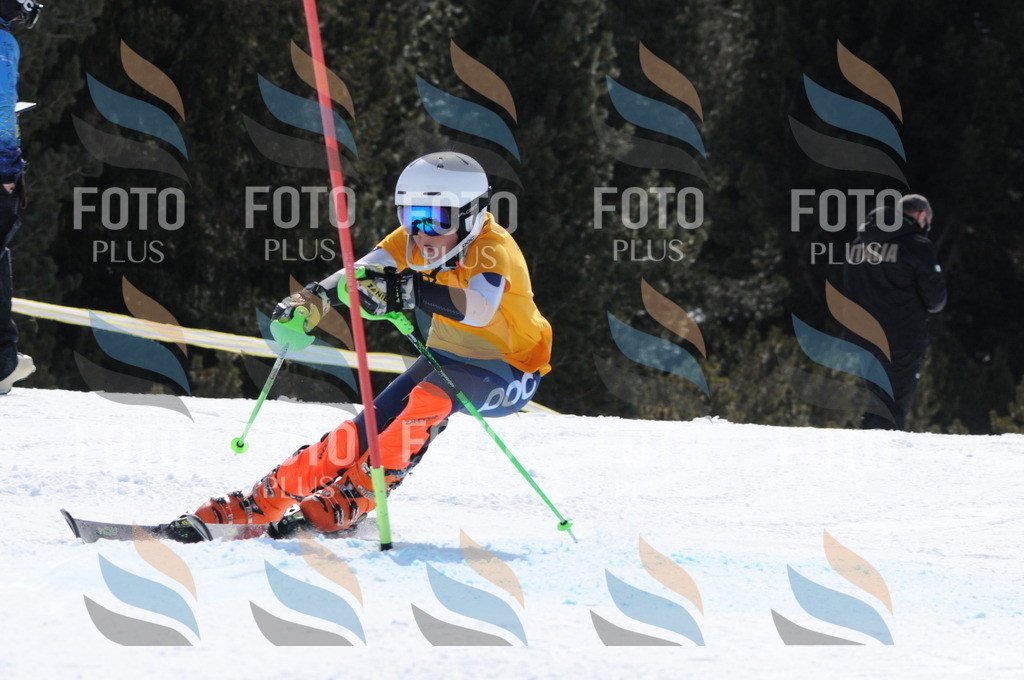 C9406 | holidayphoto