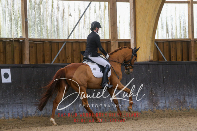 IMG_0285 | Turniersportfotografie; Pferdefotografie; Dressurfotografie