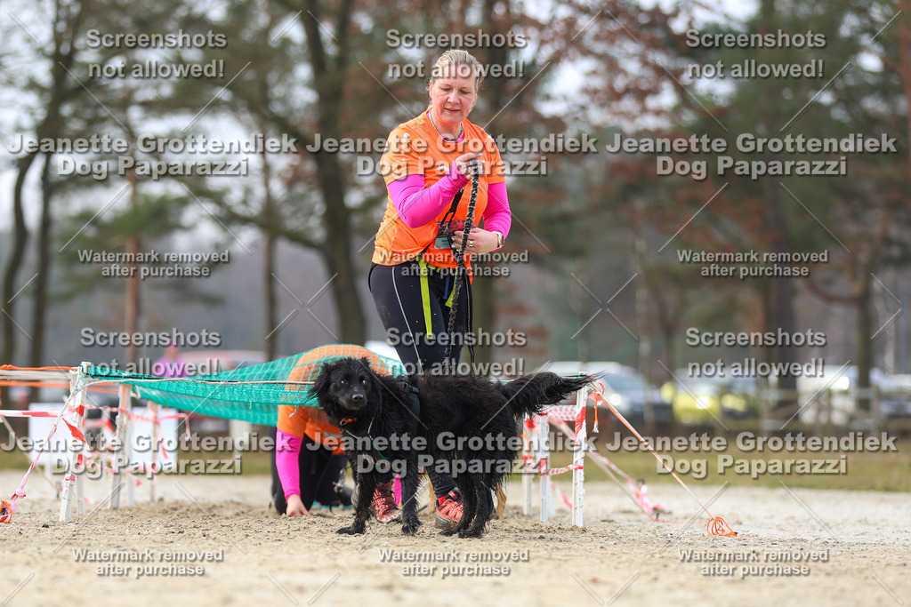 Dog Paparazzi - Strongdog North Mrz26-4274 | Dog Paparazzi Jeanette Grottendiek Fotografie & Videografie - Realisiert mit Pictrs.com