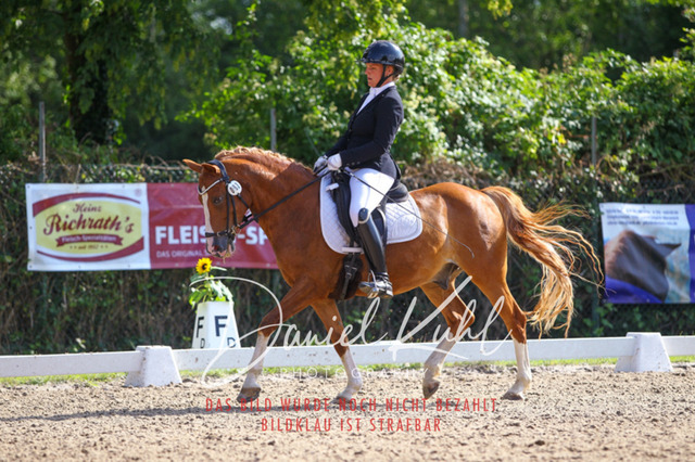 DKP43063 | Turniersportfotografie; Pferdefotografie; Dressurfotografie