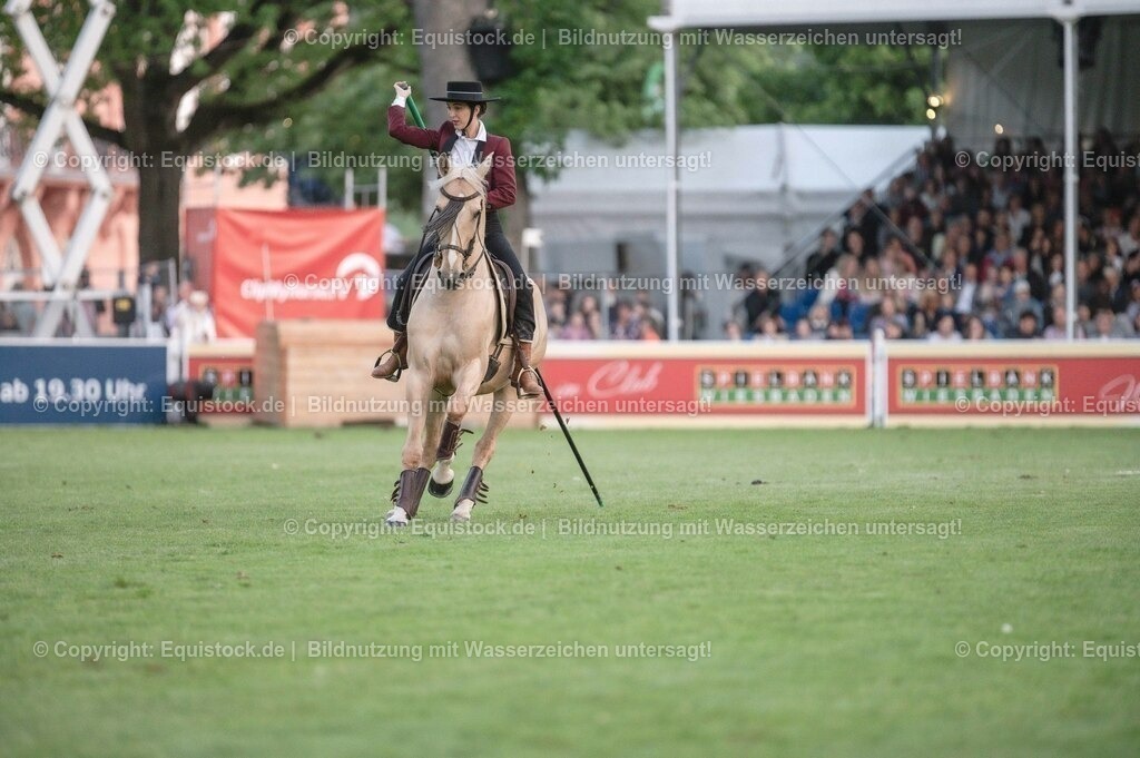 20230526_Pferdenacht_0700 | equistock