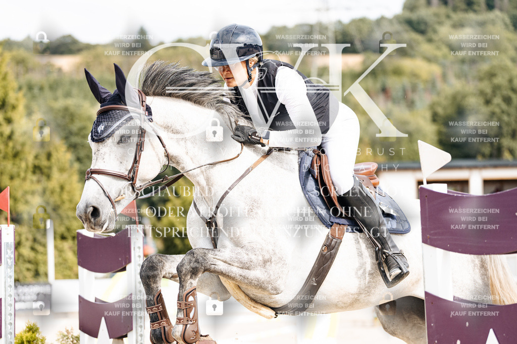 CK902034 | Turnierfotografie Pferdefotografie Trier Rheinland-Pfalz Pferdesport Reitsport Tierfotografie Sportfotografie Pferdevideo Pferdevideografie Equestrianvideography equestrianphotography  - Realisiert mit Pictrs.com