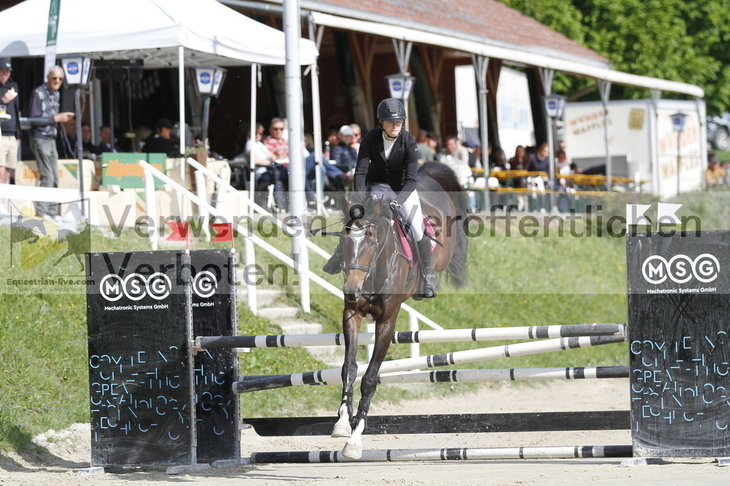 _MG_8629 | equestrian-live-com