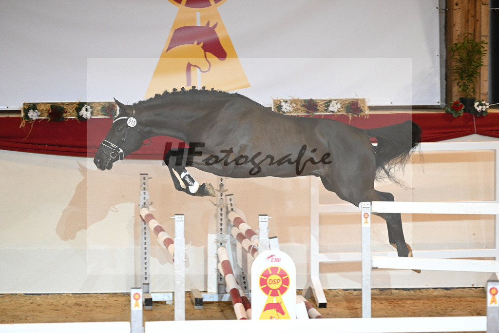 Kat-Nr. 15 Cornet de Semilly_Agrar Handelsgesellschaft Salzfurtkapelle_1230836 | hf-fotografie - Realizzato con Pictrs.com