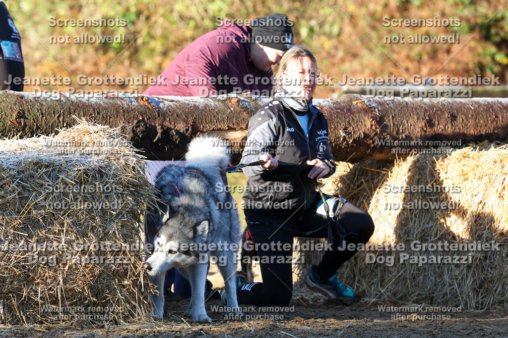 Dog Paparazzi - Strongdog 10-25-750 | Dog Paparazzi Jeanette Grottendiek Fotografie & Videografie - Realisiert mit Pictrs.com