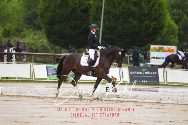 DKP40530 | Turniersportfotografie; Pferdefotografie; Dressurfotografie