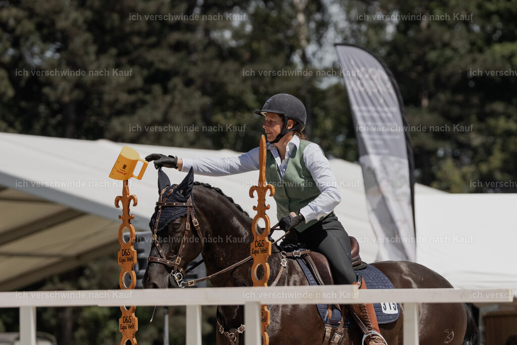 WE_SP_Stoib_315_PI2025_1864 | Pferd International München 2025