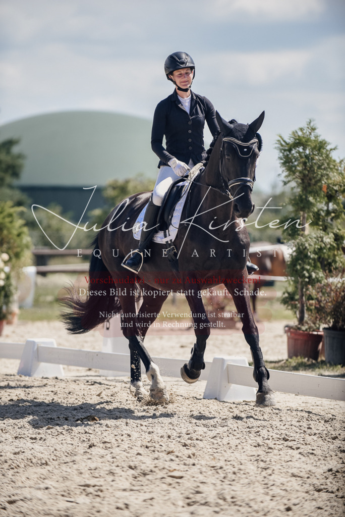 DSC_8824 | Pferde- und Turnierfotografie in Westsachsen. Pferdeportraits, Auftragszeichnungen und intuitive Kunst.