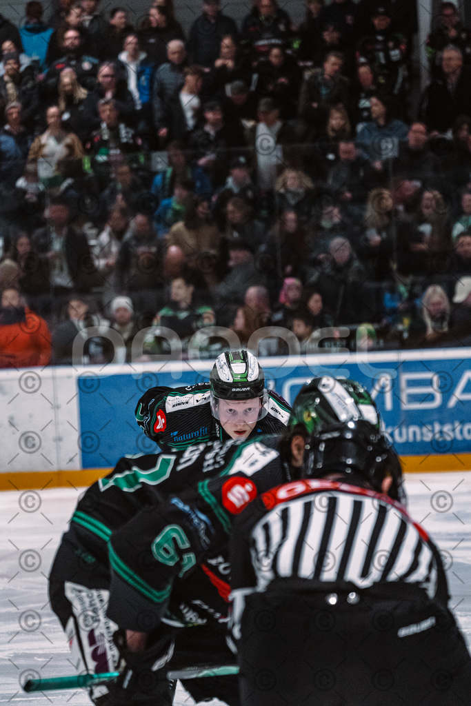 Alligators_vs_Fuessen_06_03_2026_PP-38 | Höchstadt Alligators Fotogalerie: Eishockey-Action aus Franken. Professionelle Spielfotos, Portraits & Stadionbilder zum Download. Jetzt entdecken! - Realisiert mit Pictrs.com