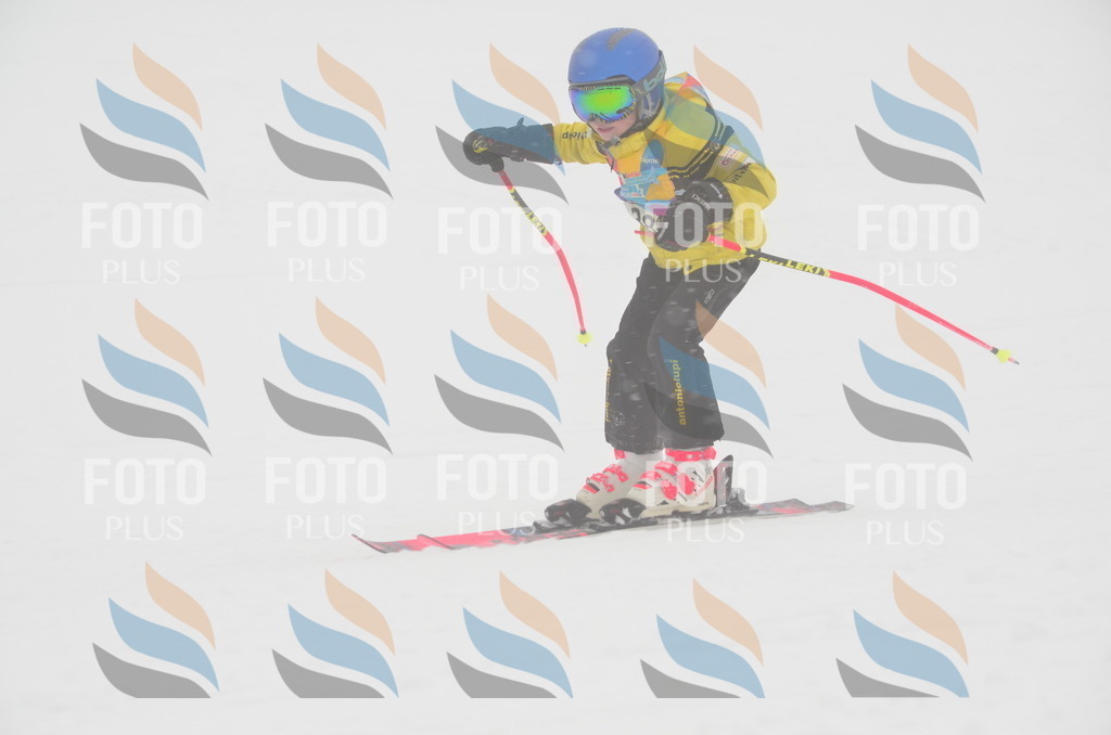 C0840 | holidayphoto