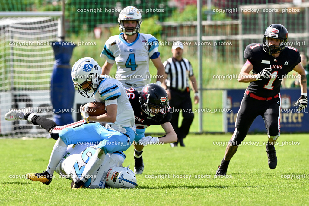 Carinthian Lions vs. Styrian Bears | Carinthian Lions vs. Styrian Bears, Carinthian Lions vs. Styrian Bears am 20.05.2024 in Klagenfurt (ASV Sportplatz), Austria, (Photo by Bernd Stefan)