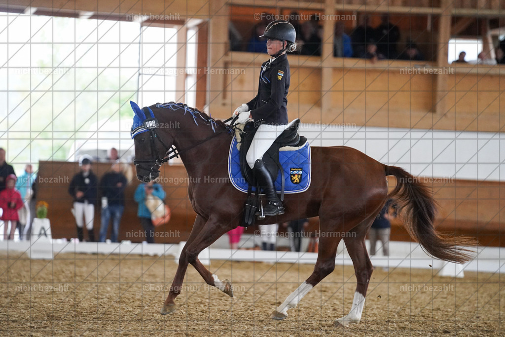 20240825-FAH09587 | Turnierbilder, Reitsportfotos, LAPO, Landesponyturnier, Turnierfotografen Bayern