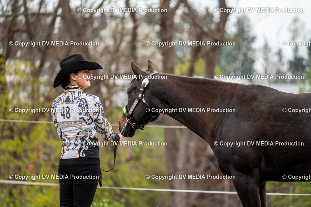 BA300134 | dv-media-shop - Realisiert mit Pictrs.com