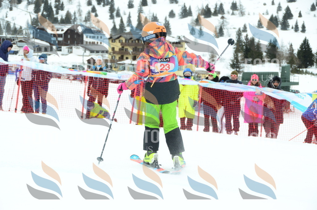 DSC_0796 | holidayphoto