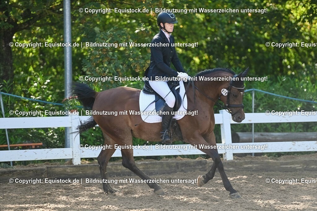 20230716_04_Dressurreiterprüfung Kl.A_0111 | equistock