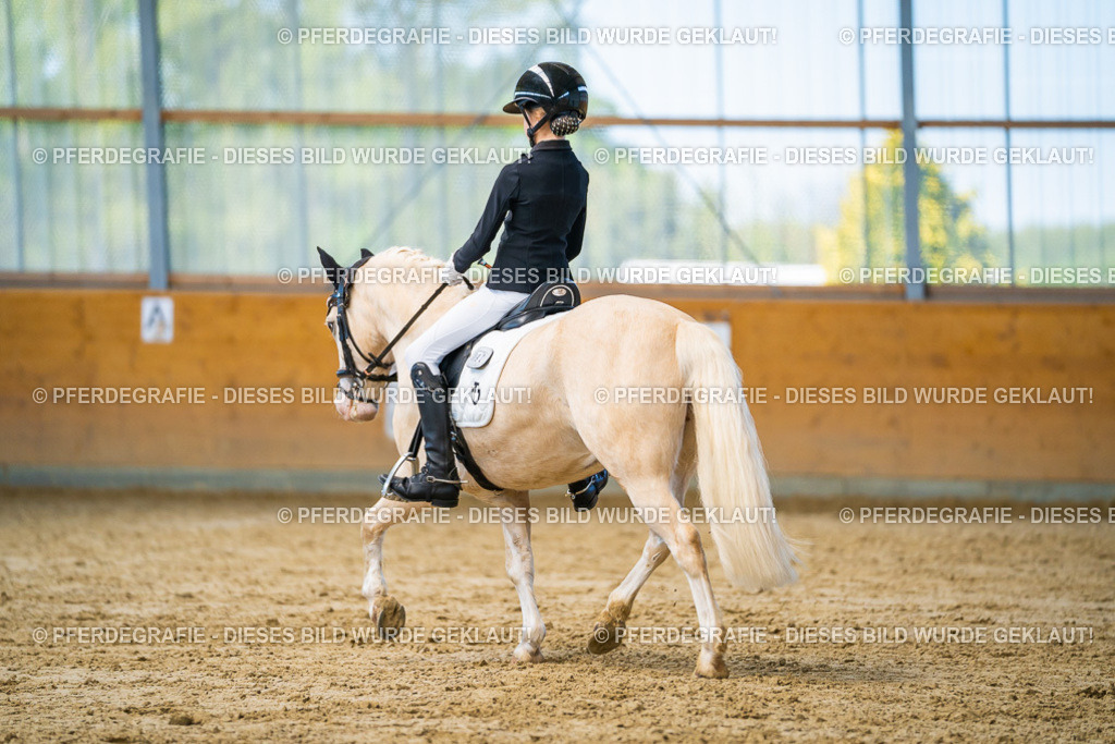 DSC07470 | Pferdegrafie