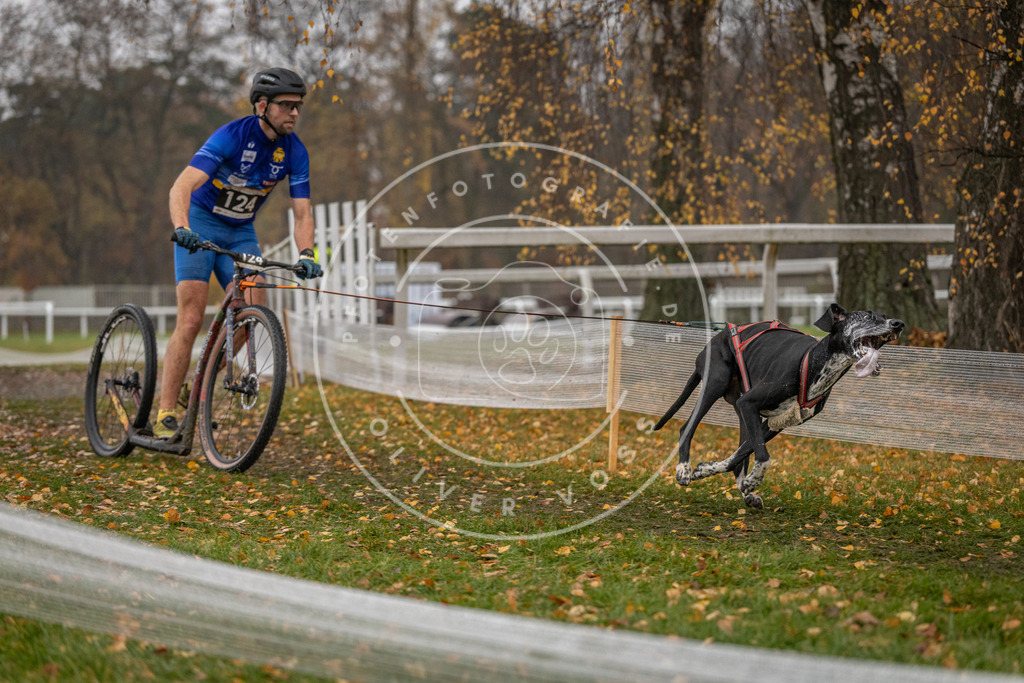 CaniXpix_DV3A7567 | Hundefotografie, Tierfotograf, Pfotenfotografie, Fotoshooting Hund, Hunde Portrait, Hundesport, Hundeportraits, Heideshooting, Hunde, Sportfotograf, Hundefotograf, Turnierhundsport, THS,  - Realisiert mit Pictrs.com