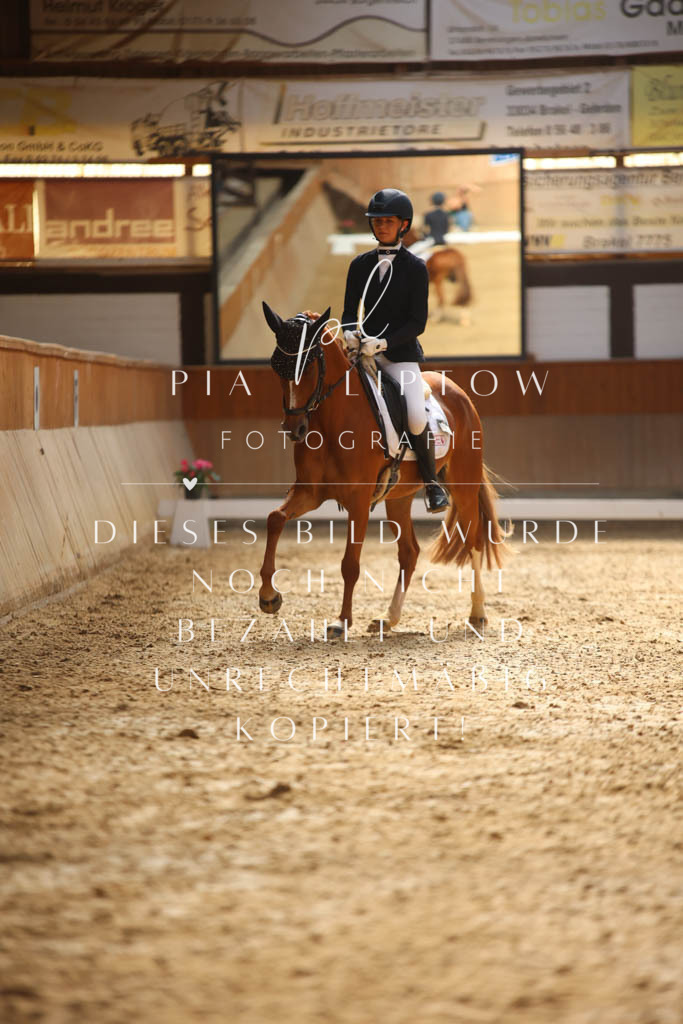 IMGS2387 | pl-fotografie