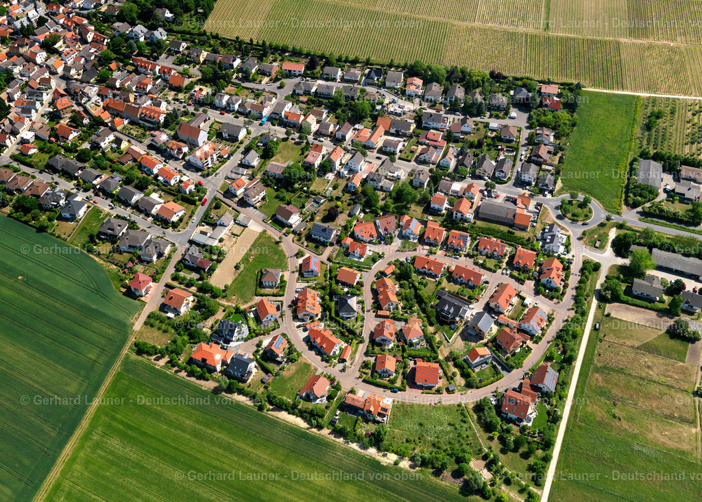 3134123-Sörgenloch | Sörgenloch