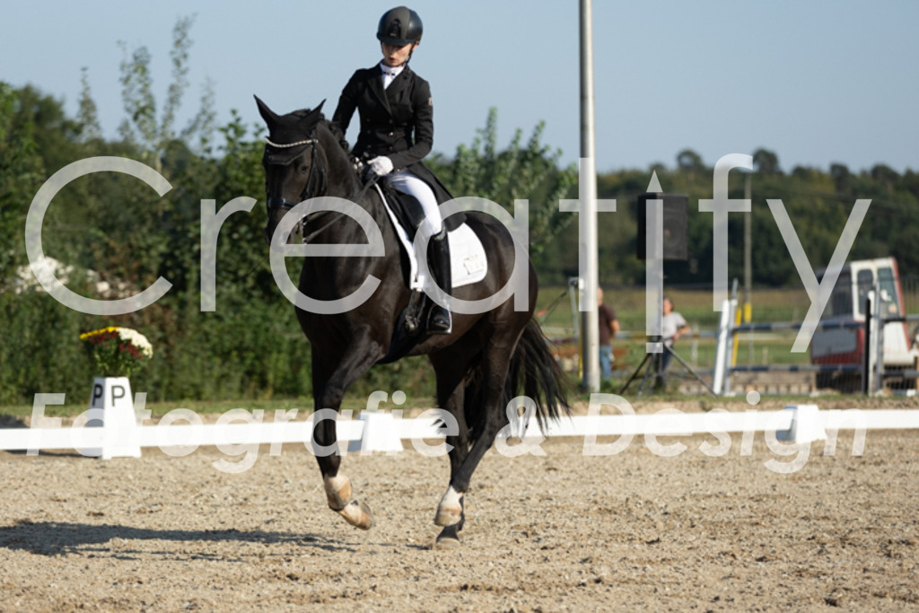 IMG_6469 | Creatify Fotografie