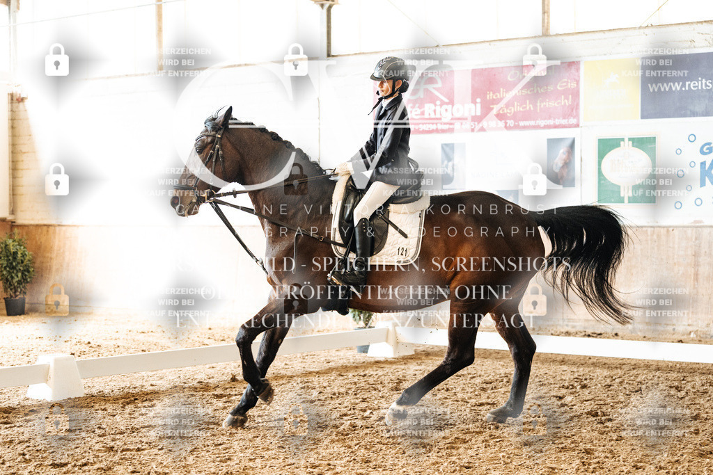 CK900492 | Turnierfotografie Pferdefotografie Trier Rheinland-Pfalz Pferdesport Reitsport Tierfotografie Sportfotografie Pferdevideo Pferdevideografie Equestrianvideography equestrianphotography  - Realized with Pictrs.com