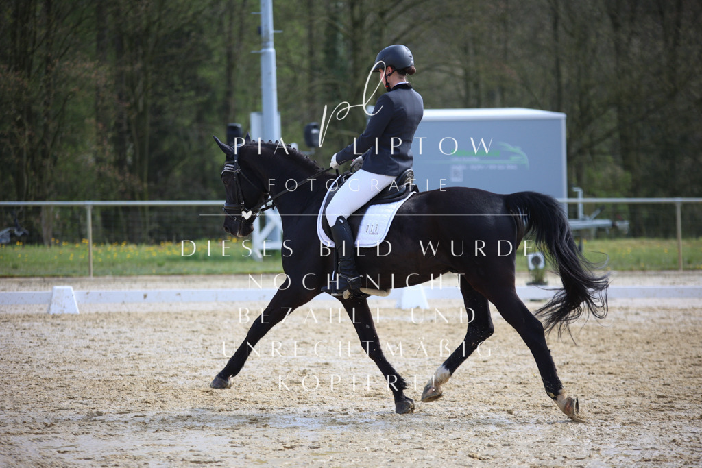 IMGT4672 | pl-fotografie