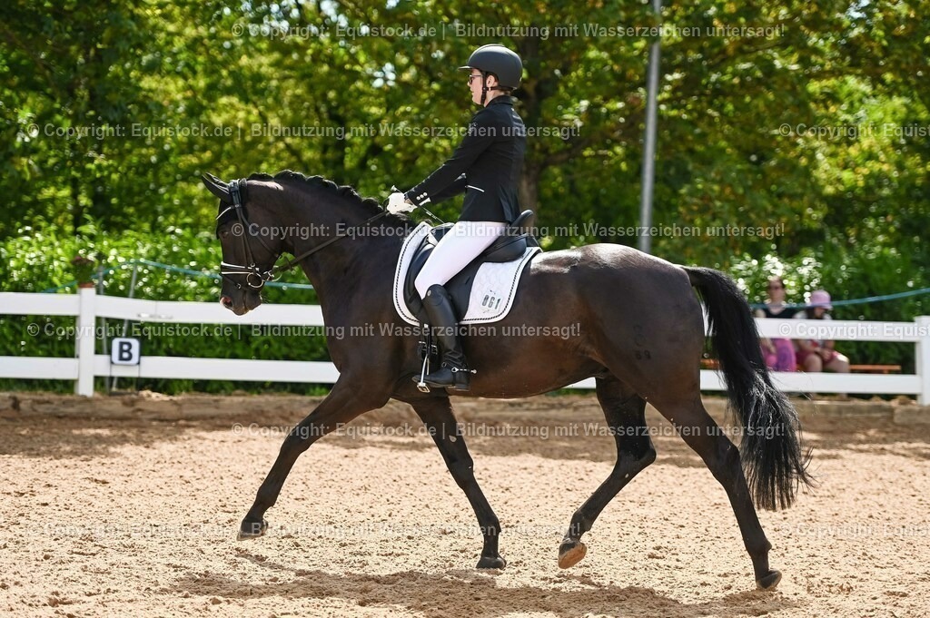 20230715_07_Dressurpferdeprfg. Kl.L_0182 | equistock