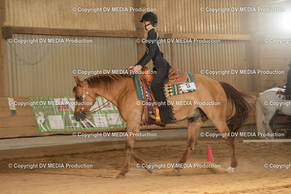 NID03174 | dv-media-shop - Realisiert mit Pictrs.com