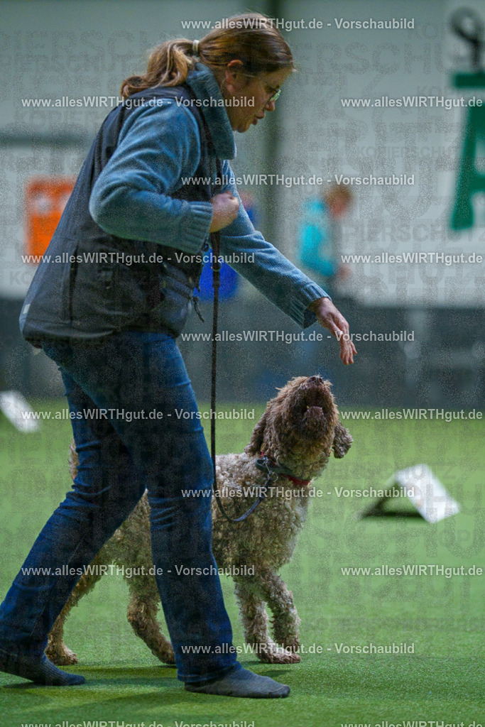 7R503073 | Professionelle Tierfotografie in Mönchengladbach von Daniel Wirth (allesWIRTHgut). Liebevolle & natürliche Bilder von Hunden & Katzen für unvergessliche Erinnerungen.