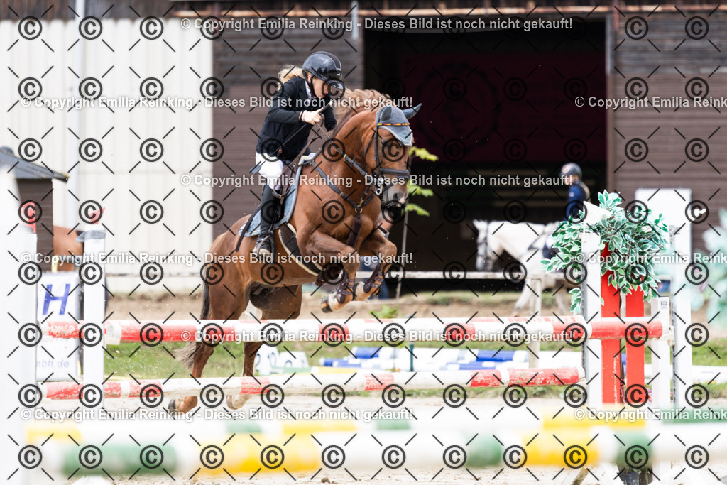 CL5A0734 | Emilia Reinking Fotografie - Realisiert mit Pictrs.com