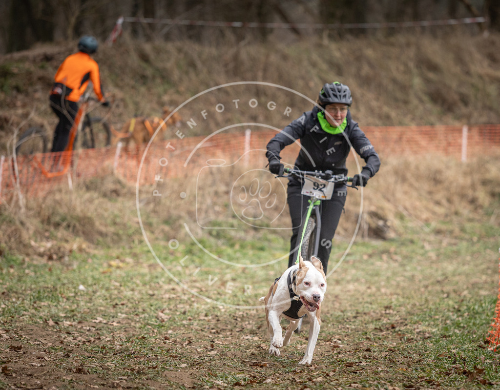 Pfotenfotografie_DV3A6772 | Hundefotografie, Tierfotograf, Pfotenfotografie, Fotoshooting Hund, Hunde Portrait, Hundesport, Hundeportraits, Heideshooting, Hunde, Sportfotograf, Hundefotograf, Turnierhundsport, THS,  - Realisiert mit Pictrs.com