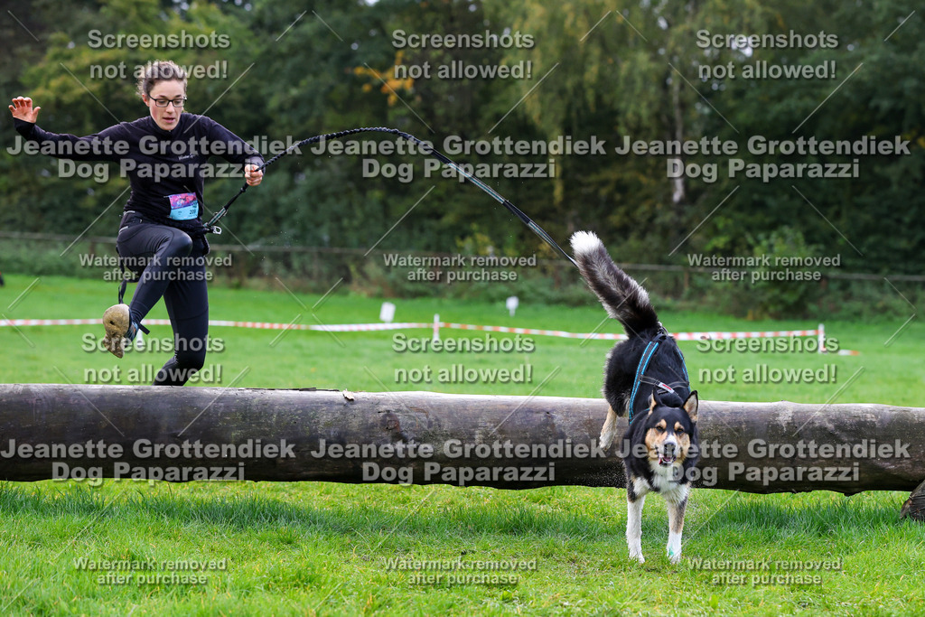 Dog Paparazzi -  SD1026-1172 | Dog Paparazzi Jeanette Grottendiek Fotografie & Videografie - Realisiert mit Pictrs.com
