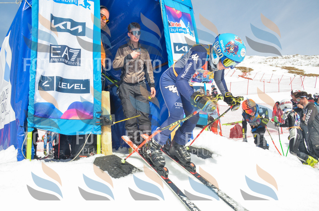 _ELE7282 | holidayphoto