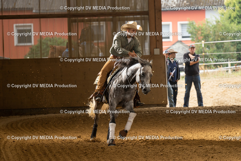 LAU00866 | dv-media-shop - Realisiert mit Pictrs.com