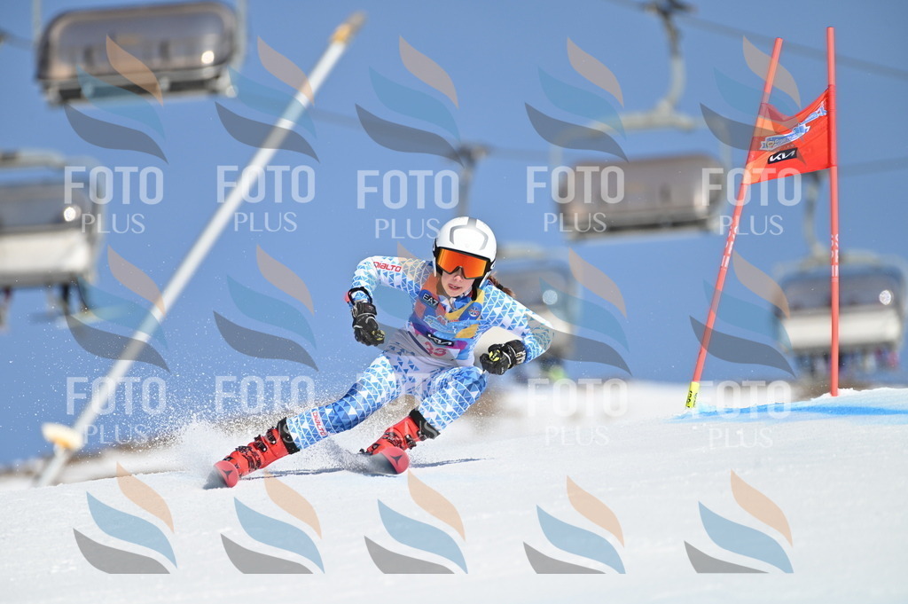 BGV_8192 | holidayphoto