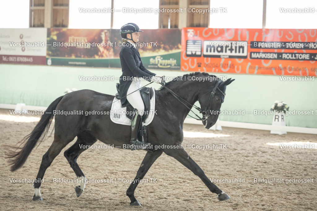 _D5A2079 | Emotionale Pferde- & People-Fotografie rund um Heidelberg, Leimen & Umgebung. Natürliche Fotos von Pferd, Mensch & Familie. Jetzt Termin sichern!