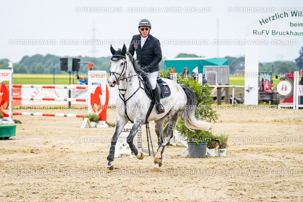 DSC08388 | Pferdegrafie