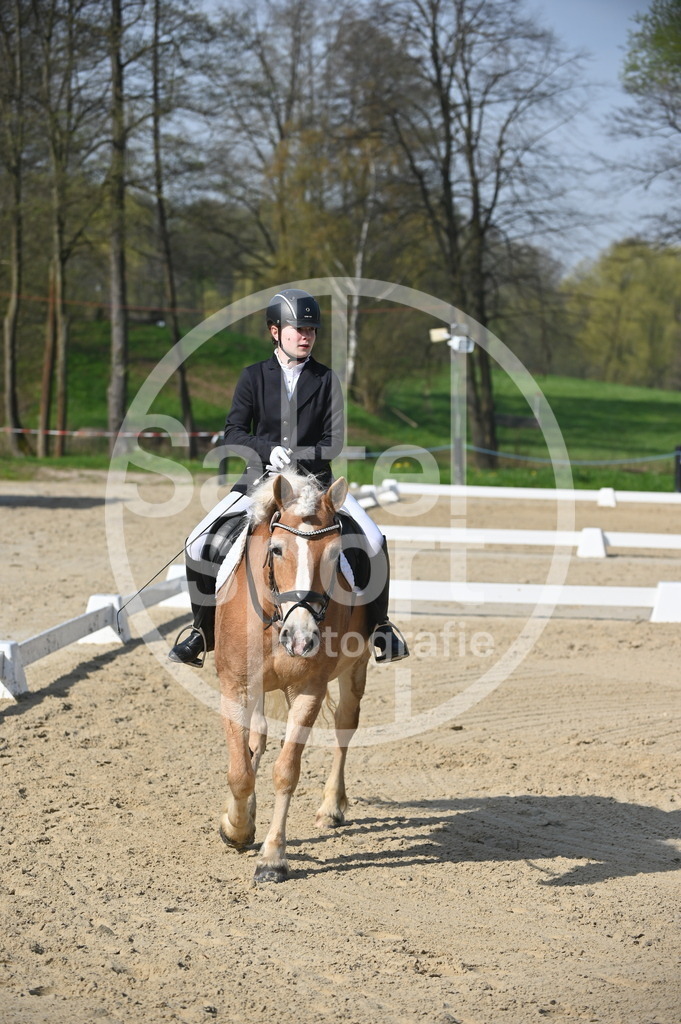 DSC_0331 | sattelsport - Realisiert mit Pictrs.com