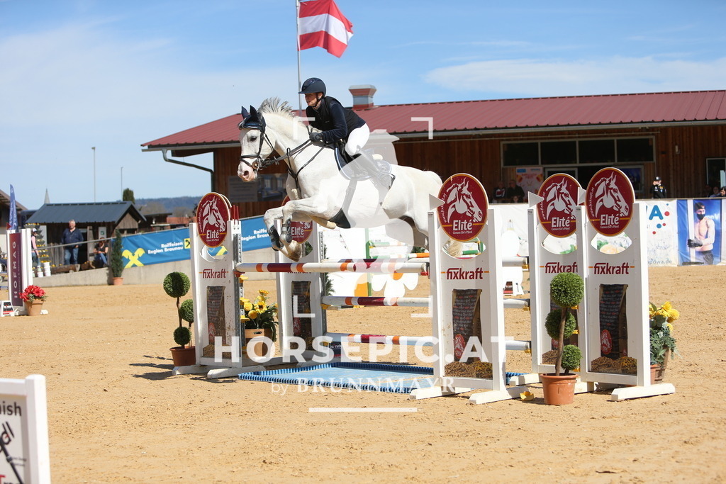 DL2Q5274 | Willkommen bei Brunnmayr - Design & Fotografie – Ihrem Spezialisten für Reitturniere und Pferdeveranstaltungen in Oberösterreich, Salzburg und Bayern! Seit über 17 Jahren sind wir leidenschaftlich dabei.