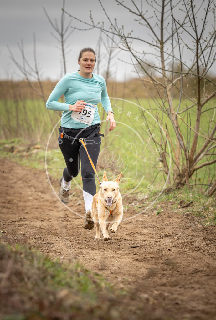 DV3A2295 | Hundefotografie, Tierfotograf, Pfotenfotografie, Fotoshooting Hund, Hunde Portrait, Hundesport, Hundeportraits, Heideshooting, Hunde, Sportfotograf, Hundefotograf, Turnierhundsport, THS,  - Realisiert mit Pictrs.com